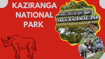 Kaziranga national park is famous for - ARUNACHAL STORE